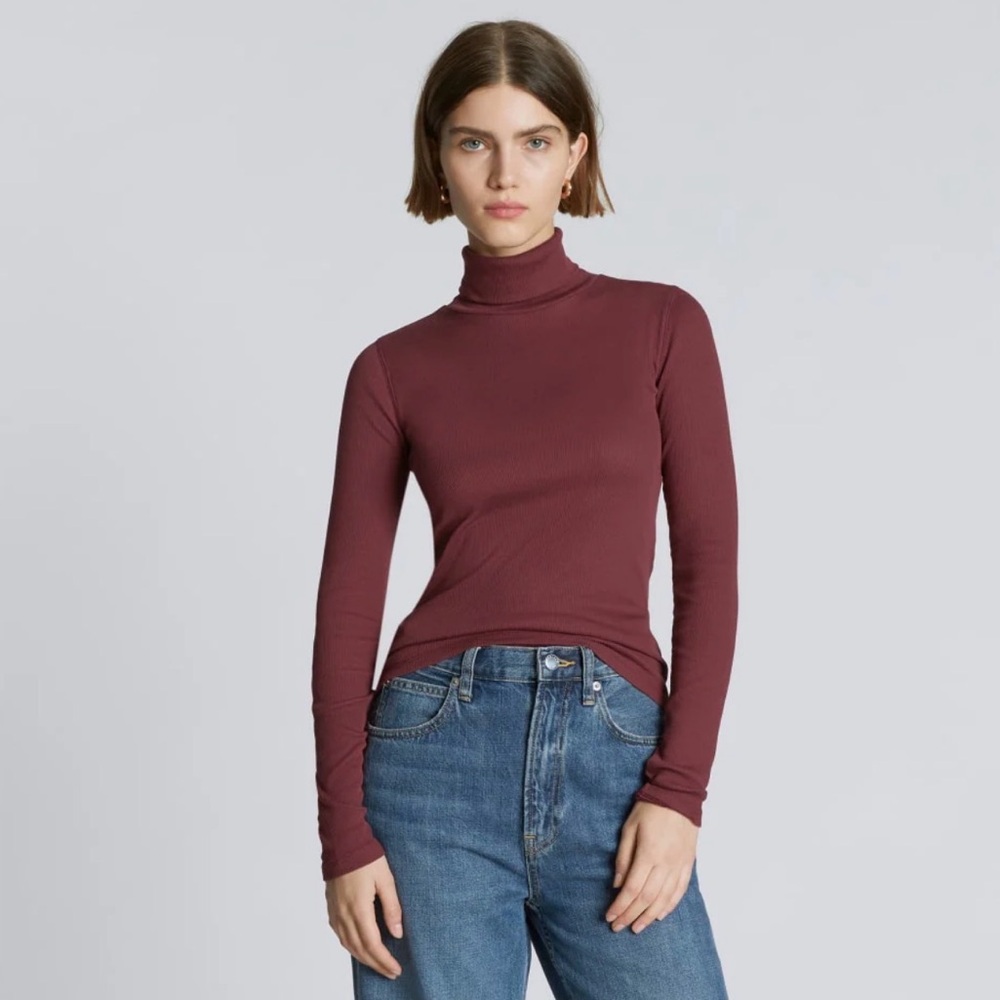 Everlane Luxe Micro-Ribbed Turtleneck
